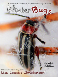 WINTER BUGS EXHIBIT Opens on Small Business Saturday at Peacock Books & Wildlife Art an Insect Documentary by Lisa Loucks-Christenson