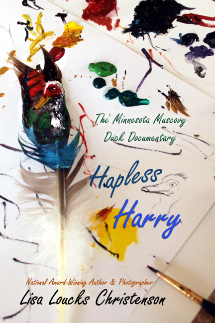 CoyWolf Entertainment Announces: Hapless Harry: The Minnesota Muscovy Duck Documentary by Lisa Loucks-Christenson
